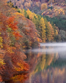 Faszinierende Herbstspaziergänge in Schottland