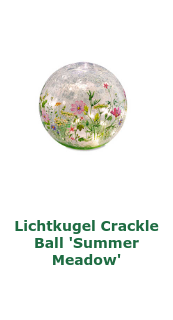 Den ersten Artikel im Shop aufrufen