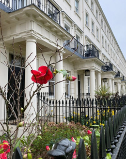 Pimlico – mehr als die Tate Britain!