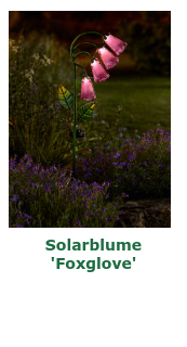 Den ersten Artikel im Shop aufrufen