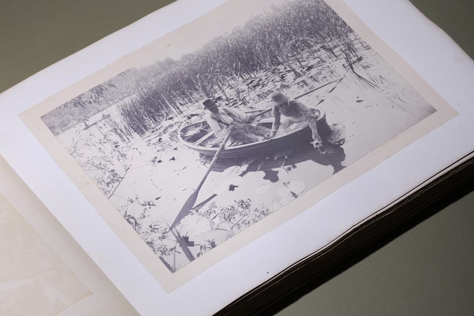 Life and Landscape on the Norfolk Broads