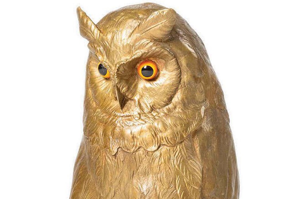 Cold painted bronze owl