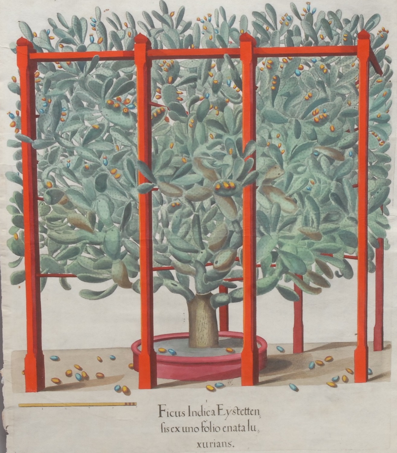 Two Day Collector's Grand Tour