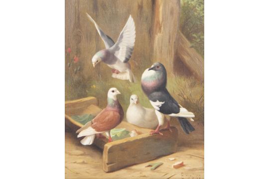Edgar Hunt (British 1876-1953): Pigeons Feeding
