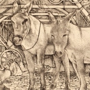 Arts of India and the Islamic Lands