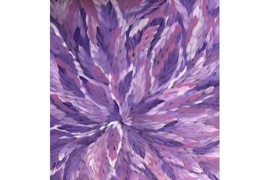 Caroline Numina 'Bush Medicine Leaves