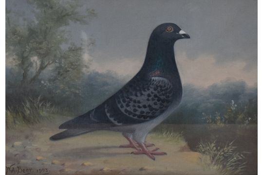 Andrew Beer (british 1862 - 1954) Oil On Canvas, An…