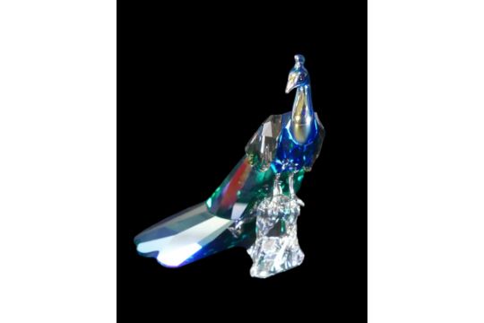 Swarovski Peacock 2013 loyalty