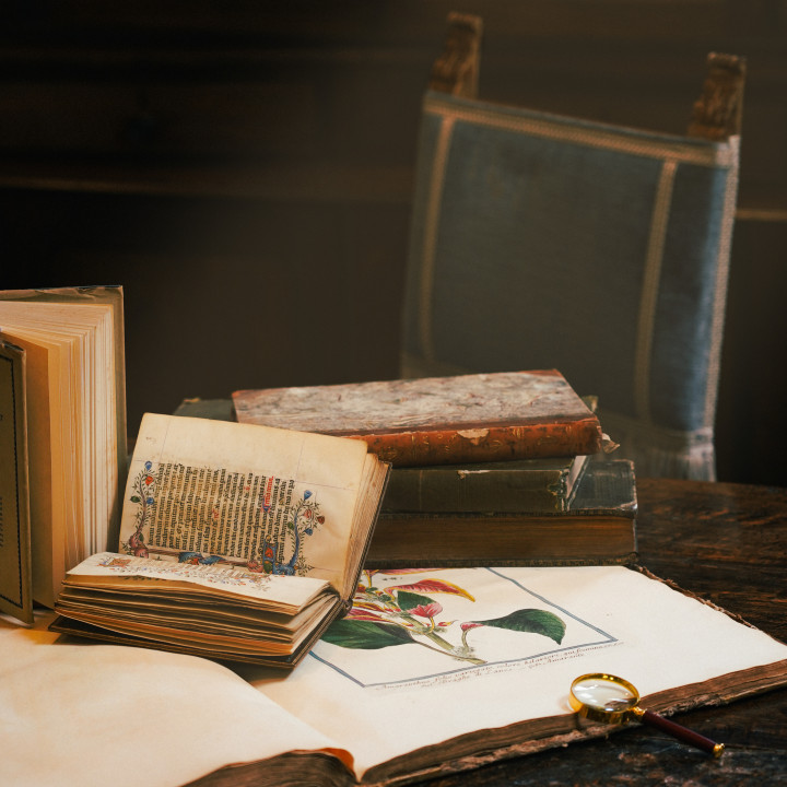 Firearms & Edged Weapons. Militaria, Medals & Awards.