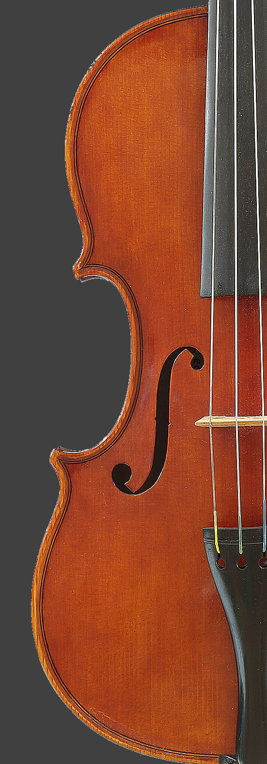 Fine Stringed Musical Instruments