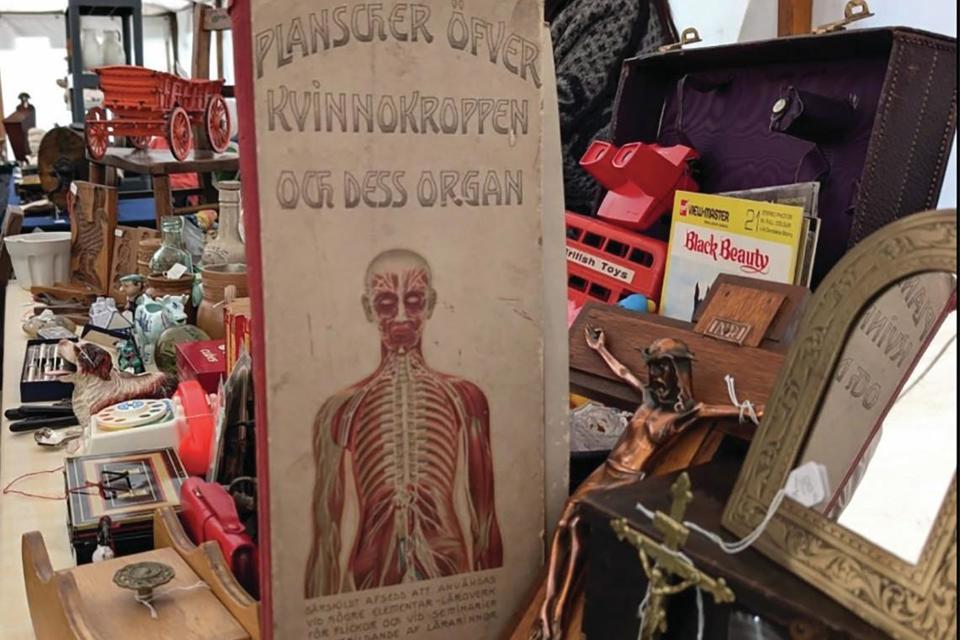 An anatomical poster on a dealer's stand at the Wolsingham Antique & Salvage Fair.
