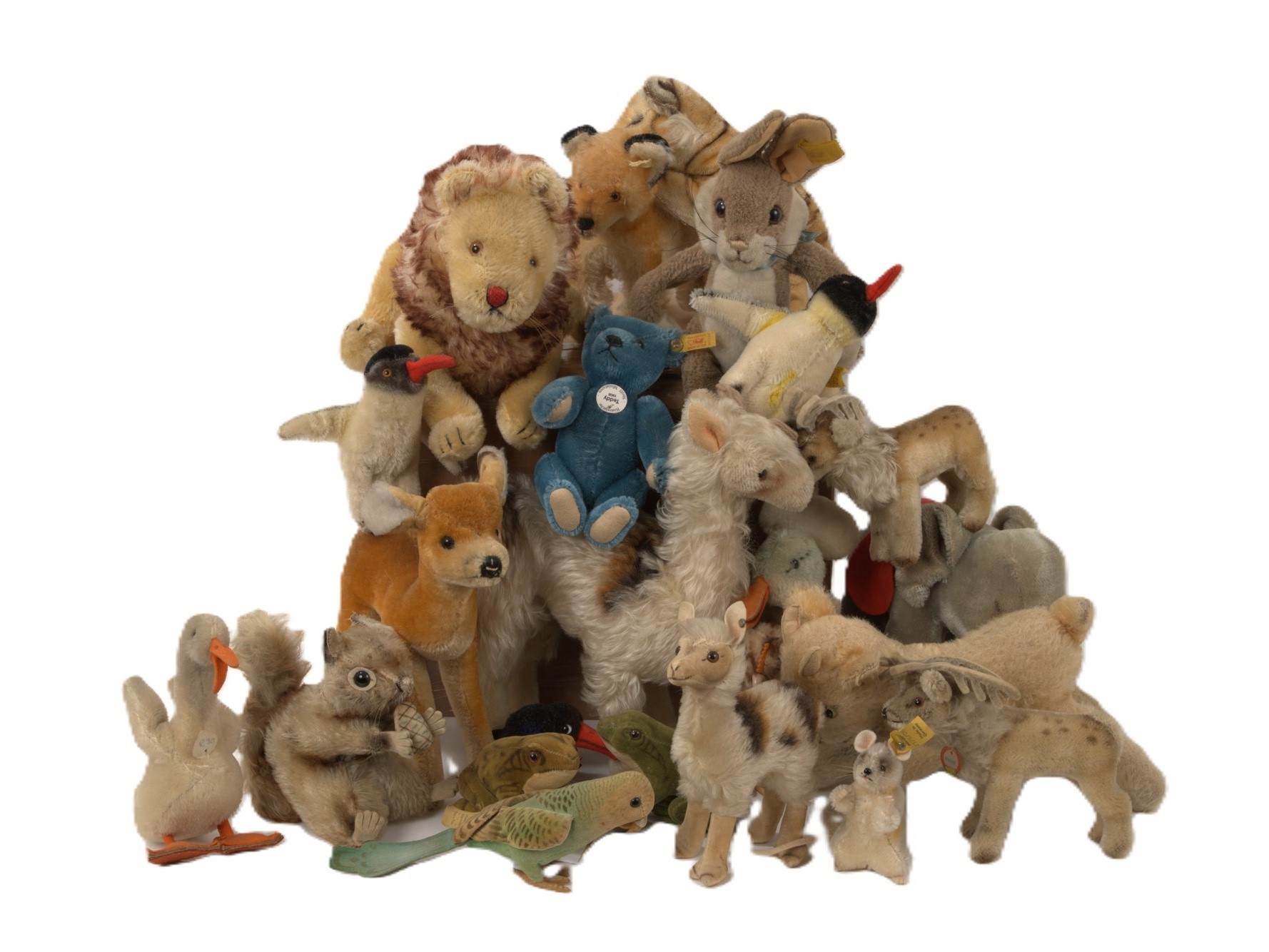 Specialist Collectors'