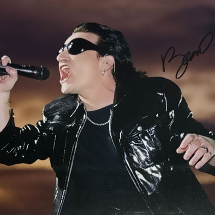 Vinyl/Music Auction