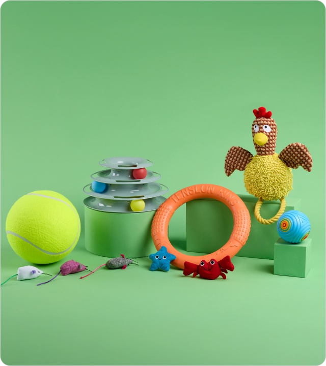 Shop Pet Toys 