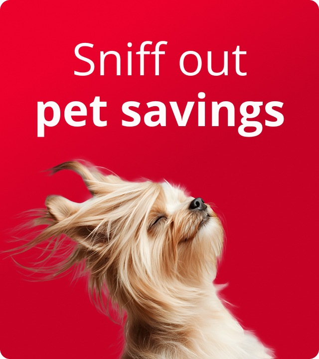 Shop Pet Month Deals