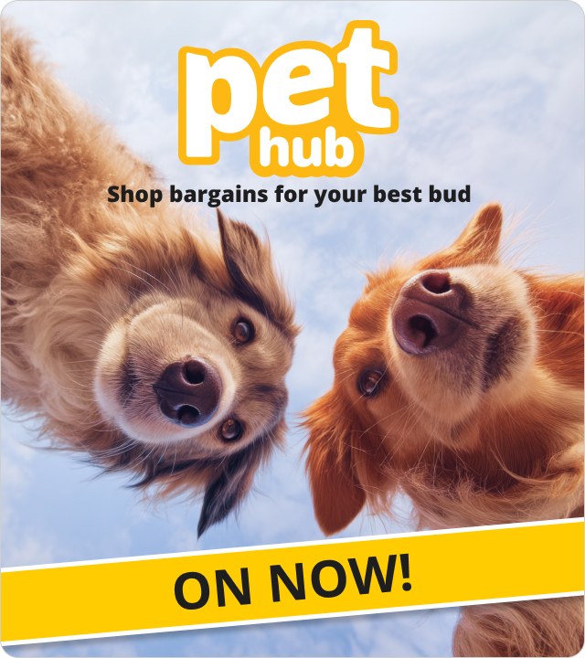 Pet Hub Now