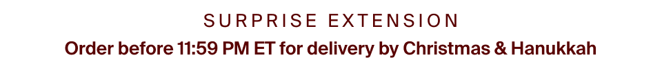 Suprise extentsion standard shipping- Christmas