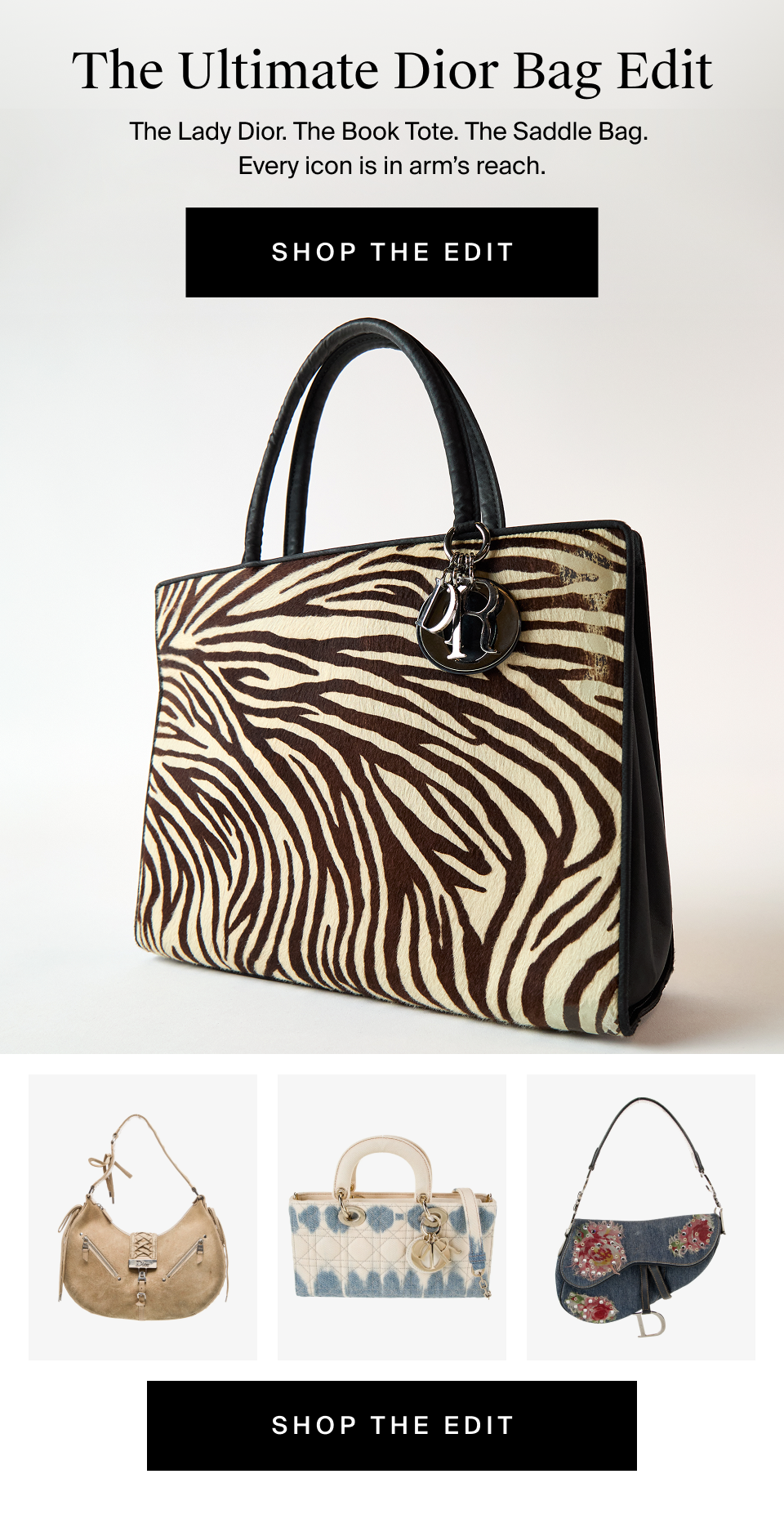 The Ultimate Dior Bag Edit