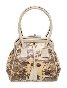 Lizard Lizard Handle Bag