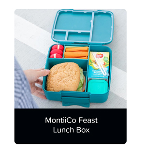 Shop Montiico Lunchbox