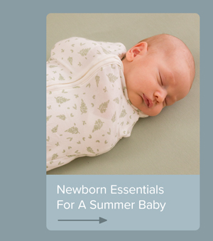 Newborn Essentials Article