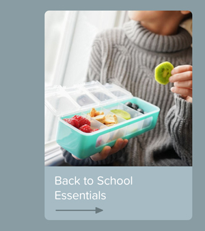 Back To School Essentials Article