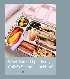 Lunchbox Ideas Article