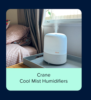 Shop Humidifiers