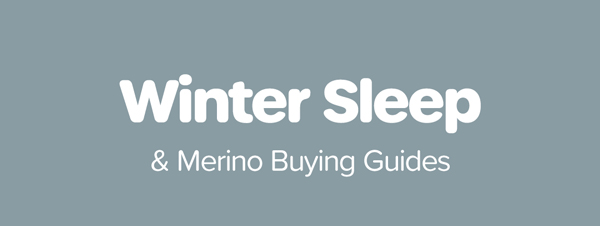 Winter Sleep Articles