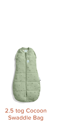 Ergopouch Swaddle Bag