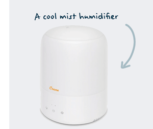 Crane Humidifier