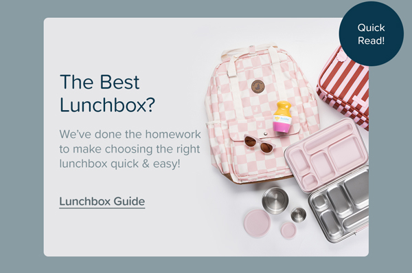Lunchbox Comparison Article
