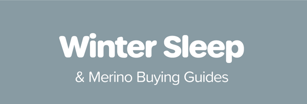 Articles and Guides