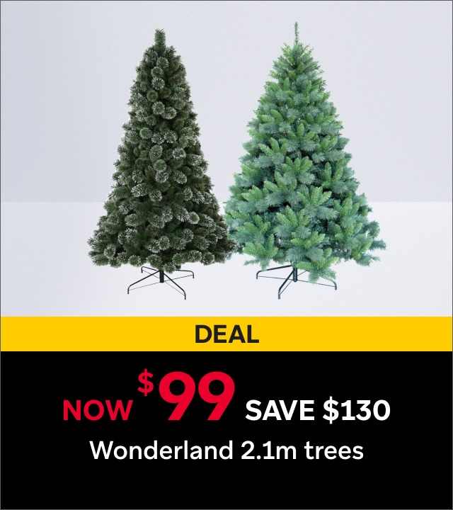 Black Friday - Wonderland Christmas Trees