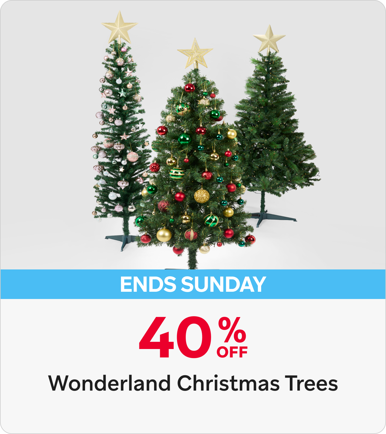 40% Off Wonderland Christmas Trees 