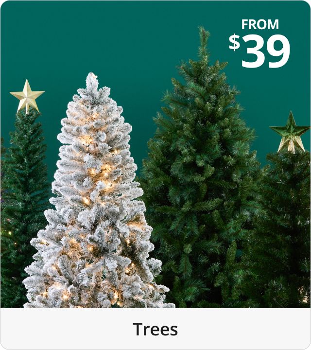 Shop Christmas Trees 
