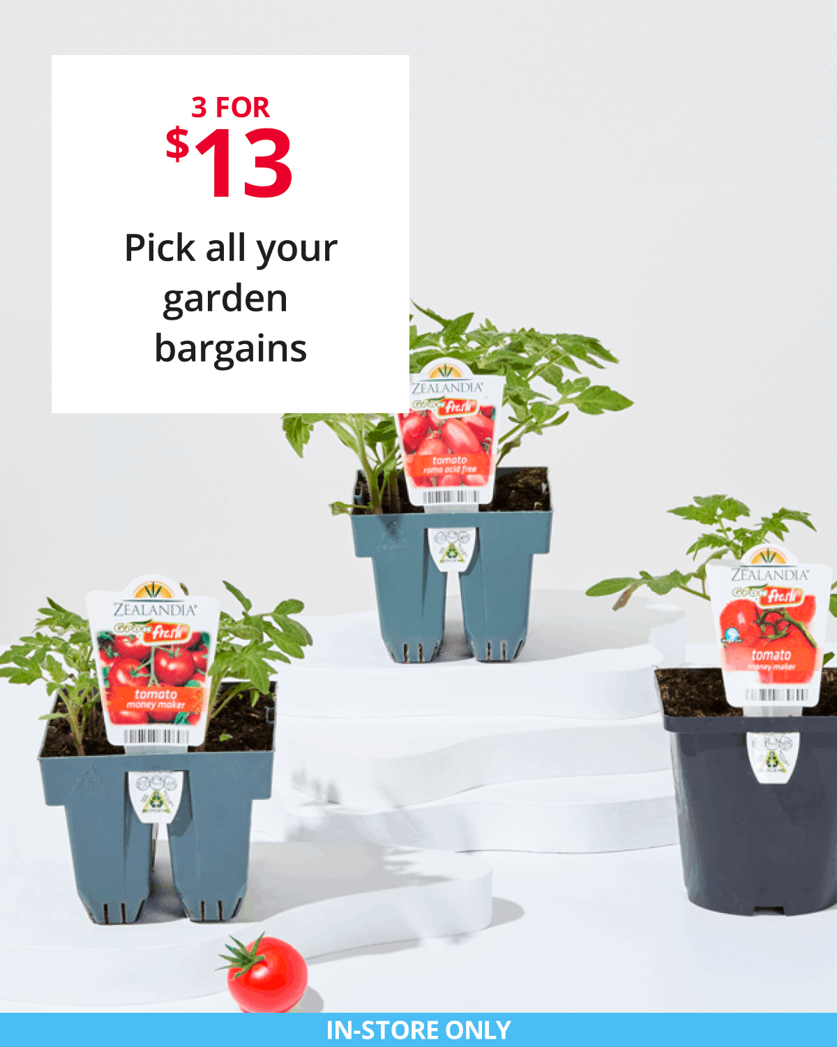 Pick all your garden bargains 