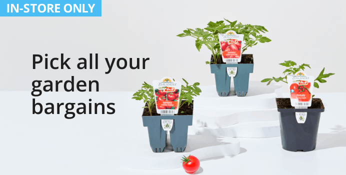 Pick all your garden bargains 