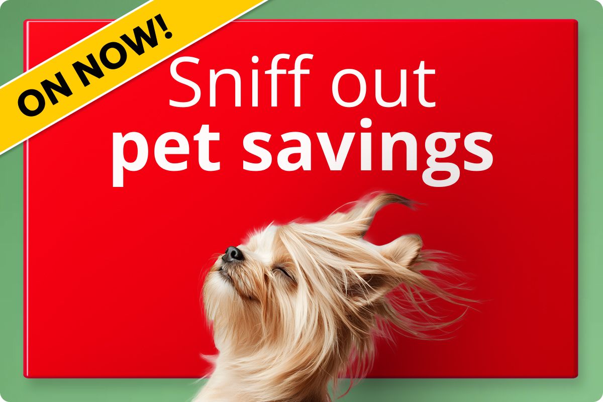 Pet Month Savings On Now