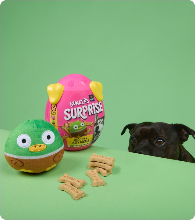 Shop Pet treats 