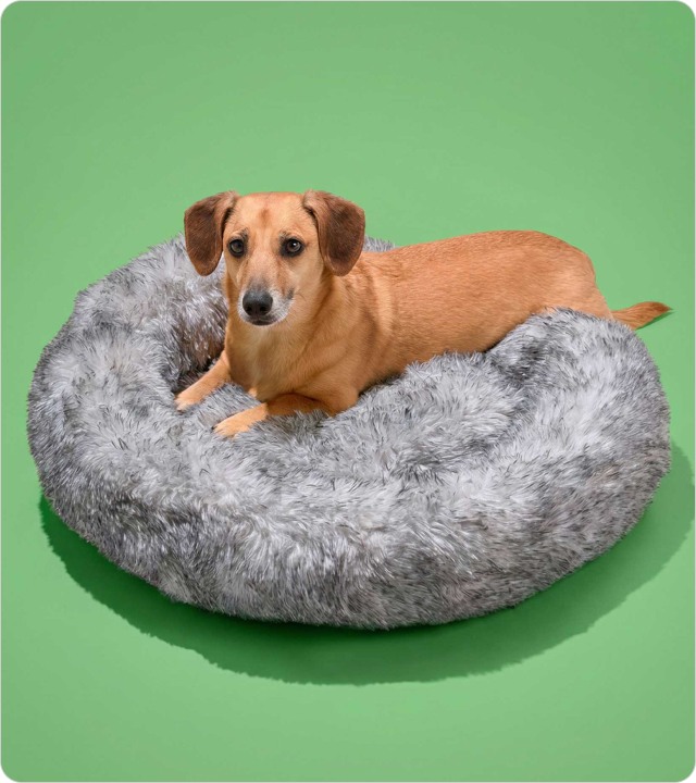 Shop Pet Bedding