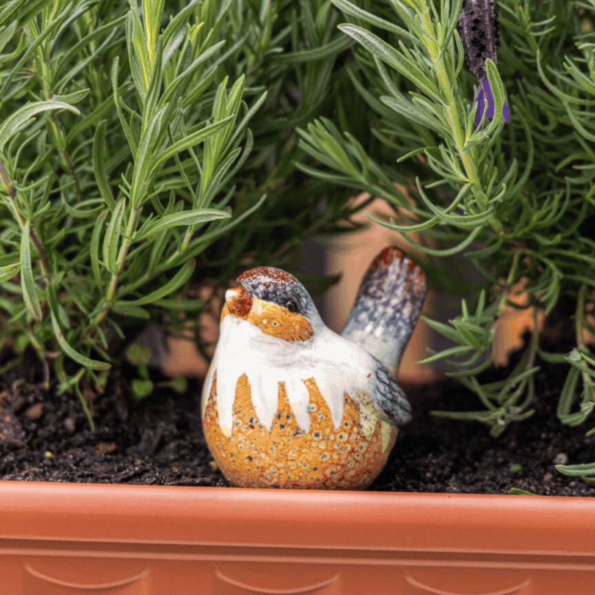 Northcote Pottery Bird Self Watering Stake