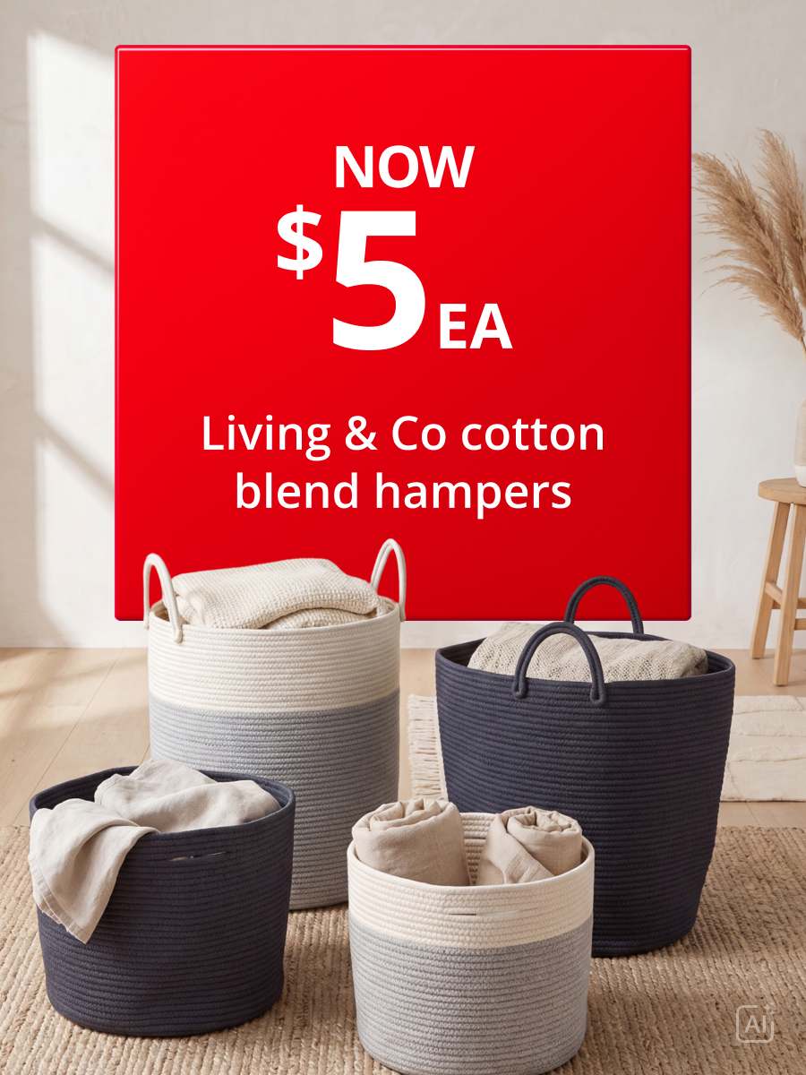 Now $5 Living & Co baskets