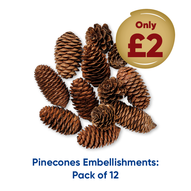 Pinecones Embellishments: Pack of 12 only £2