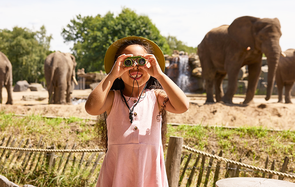 Ticket Safaripark Beekse Bergen (2p.)