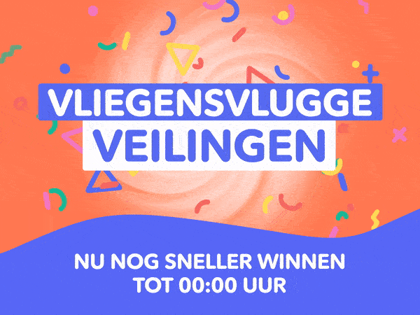 Vliegensvlugge Veilingen⚡