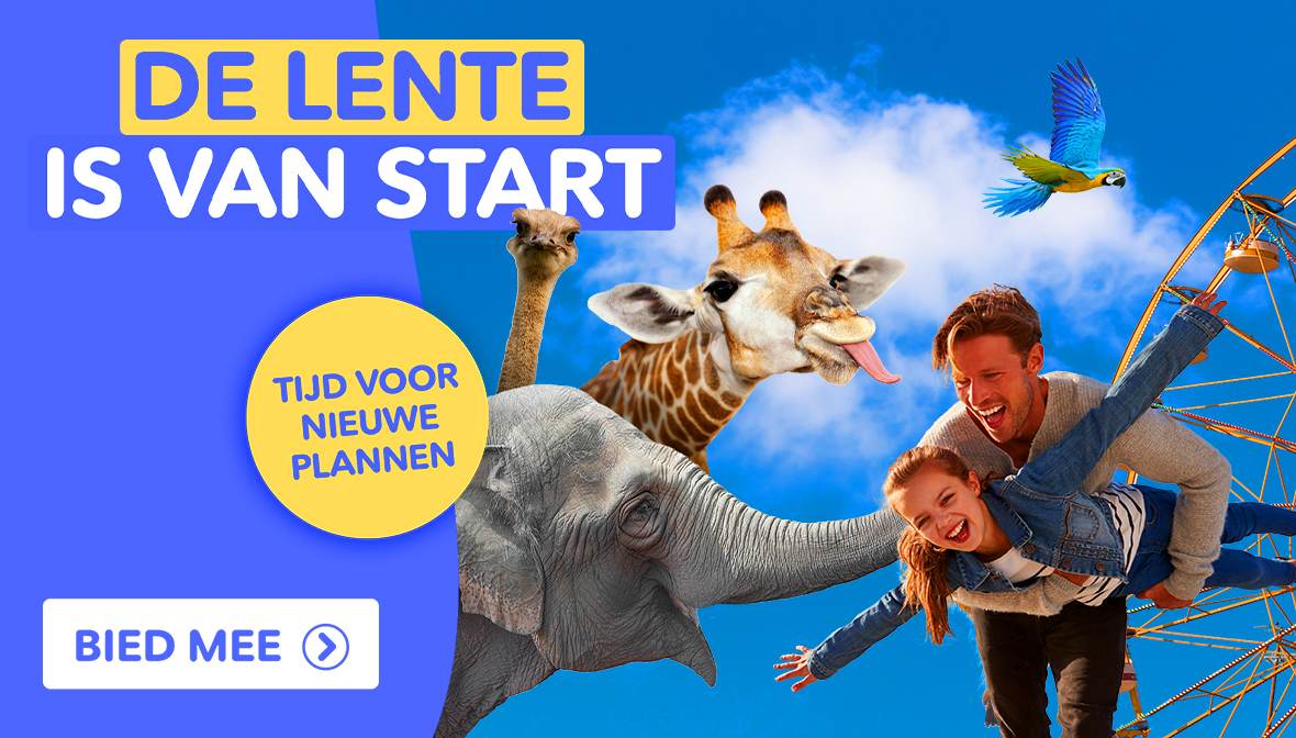 Lente in de lucht 🌸