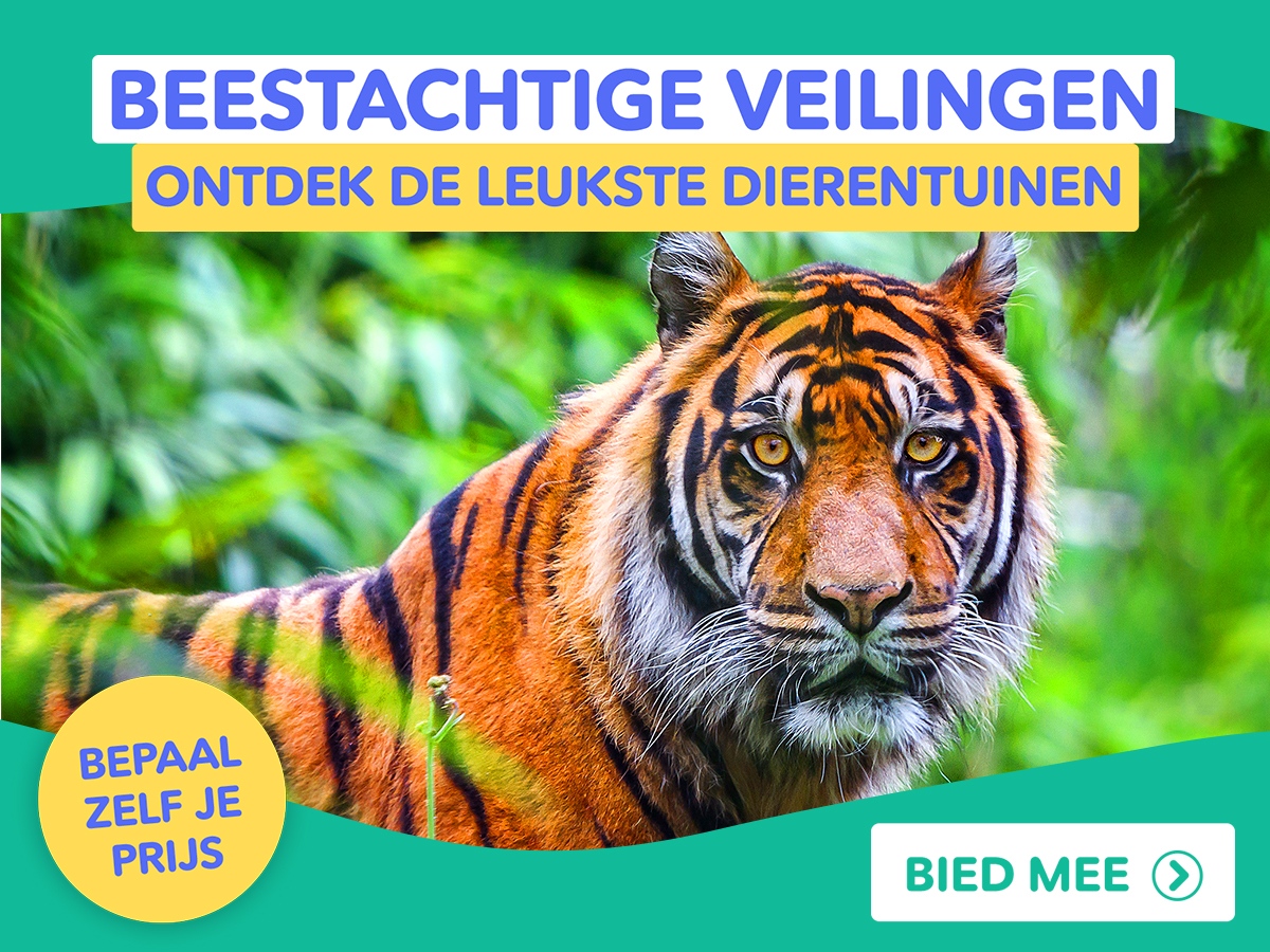Een dag vol dierenplezier 🐾