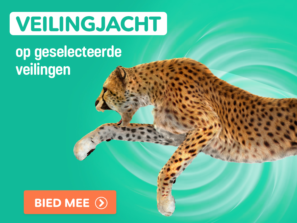 De veilingjacht is open 🐆