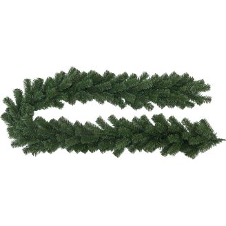 Havuköynnös Kotikulta 2 m